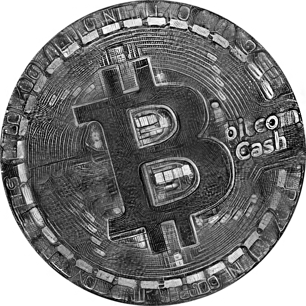 Bitcoin cash old coin